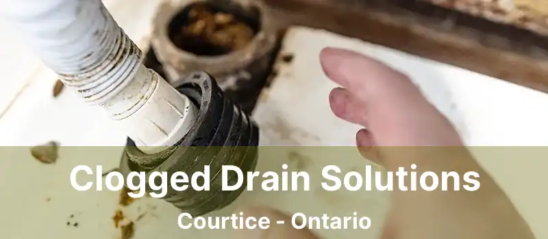  Clogged Drain Solutions Courtice - Ontario