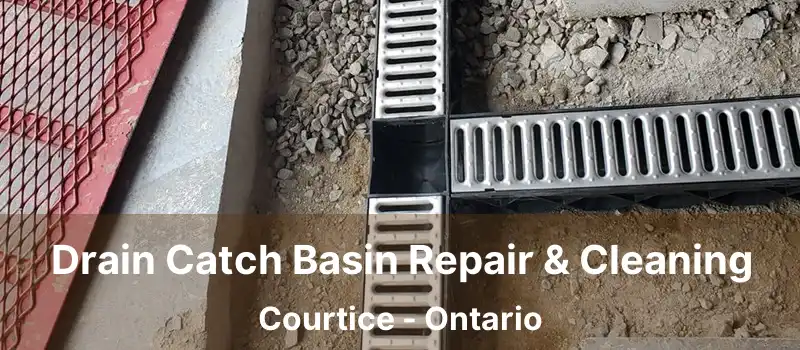  Drain Catch Basin Repair & Cleaning Courtice - Ontario