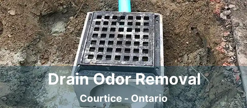  Drain Odor Removal Courtice - Ontario