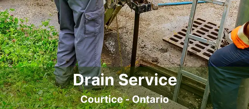 Drain Service Courtice - Ontario