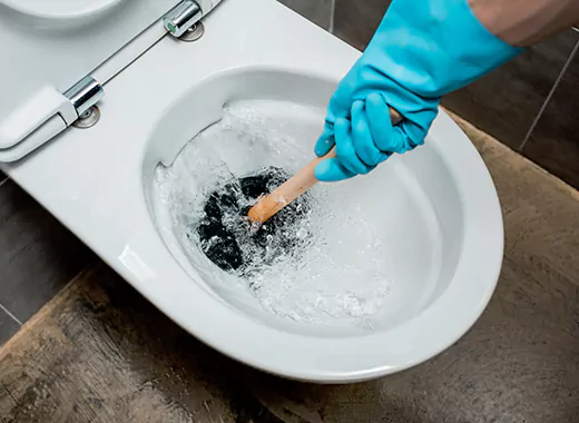 Drain Power Flush Services in Courtice, ON