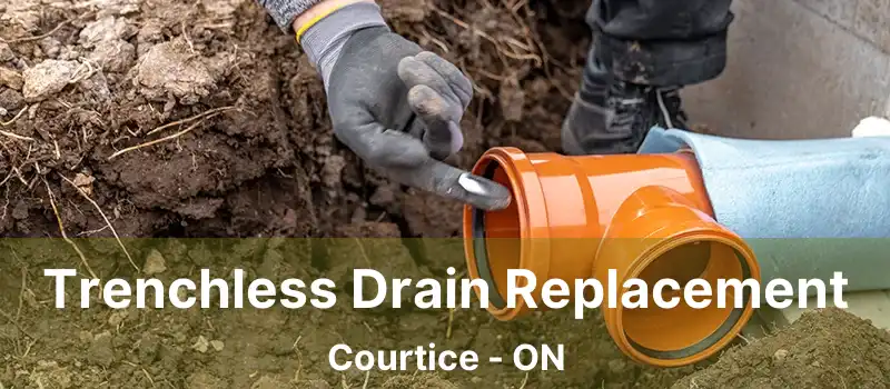  Trenchless Drain Replacement Courtice - ON